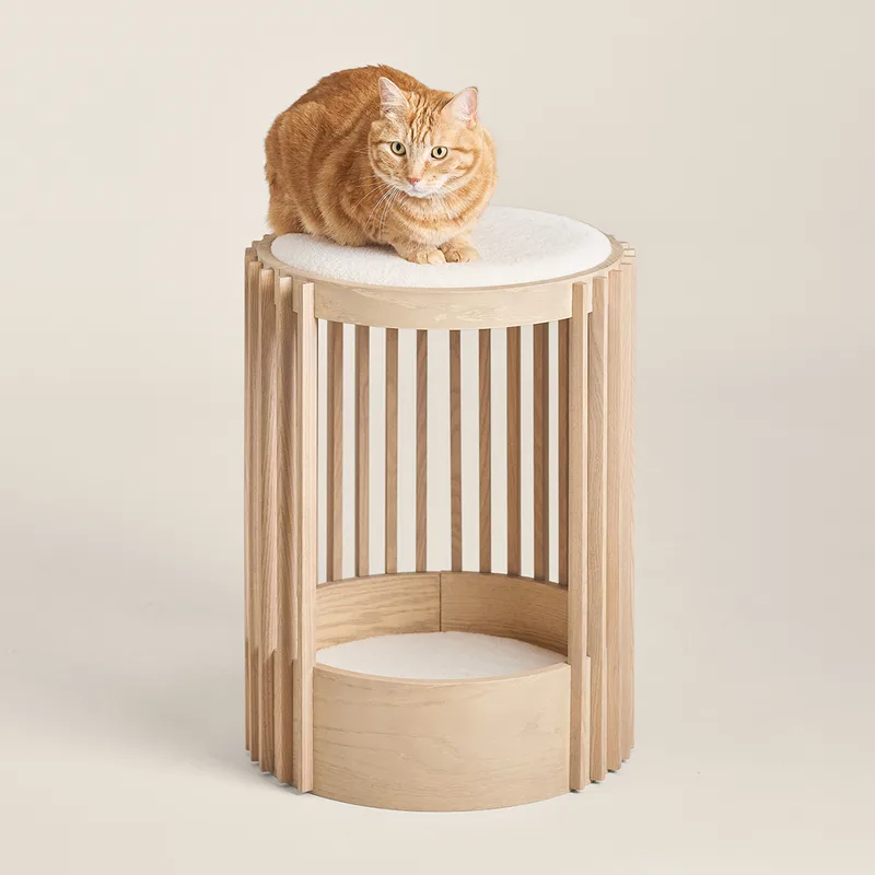 An orange cat on the top platform of the Grove cat tower