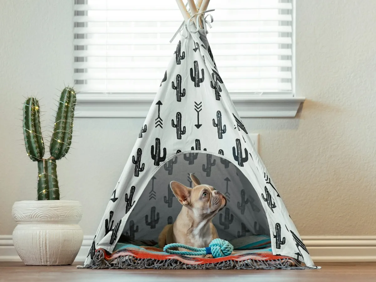 A dog sitting inside a fabric teepee printed with cacti